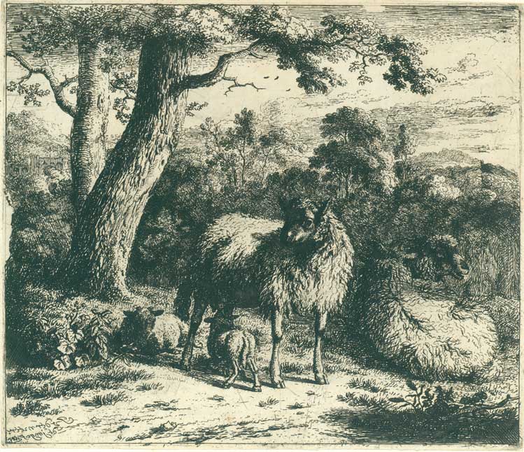 JAN VAN DER MEER de Jonghe Haarlem 1656  1705 Haarlem