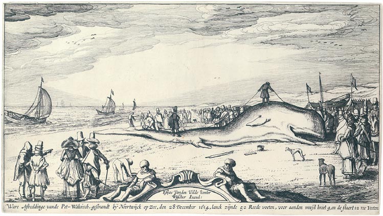 CLAES JANSZ. VISSCHER 1586/1587 Amsterdam - 1652 Amsterdam