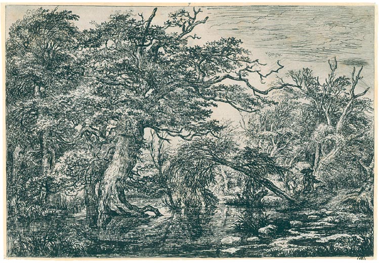 JACOB VAN RUYSDAEL 1628/1629 Haarlem - 1682 Amsterdam