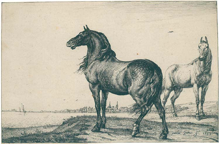 PAULUS POTTER 1625 Enkhuizen - 1654 Amsterdam