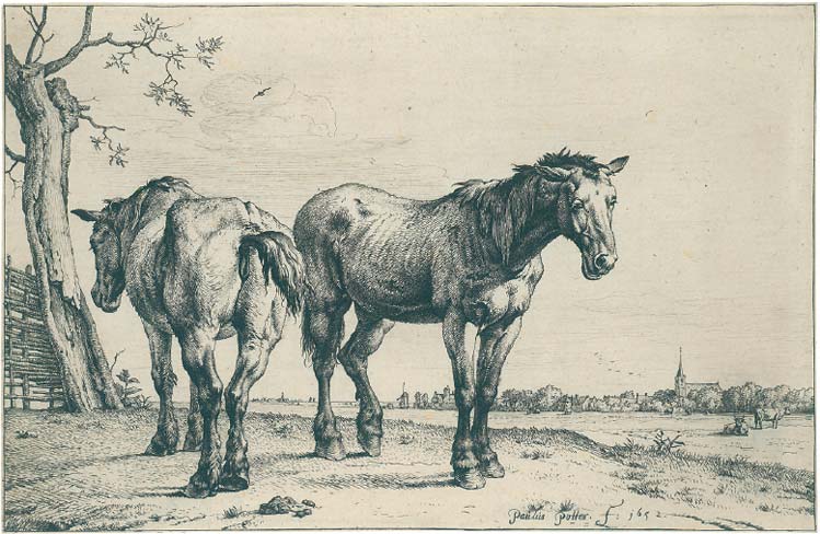 PAULUS POTTER 1625 Enkhuizen - 1654 Amsterdam
