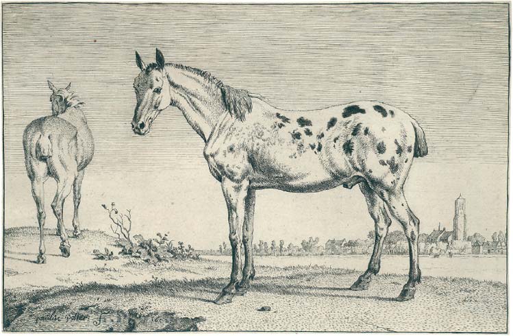 PAULUS POTTER 1625 Enkhuizen - 1654 Amsterdam