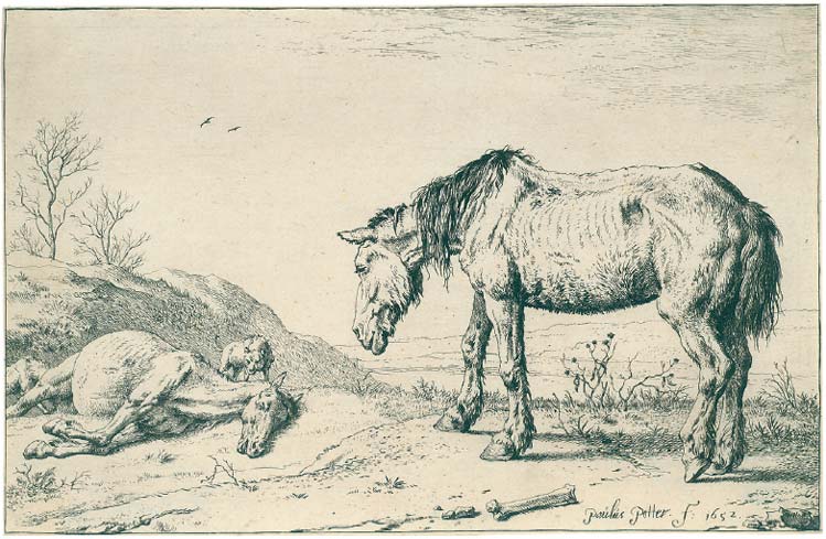 PAULUS POTTER 1625 Enkhuizen - 1654 Amsterdam